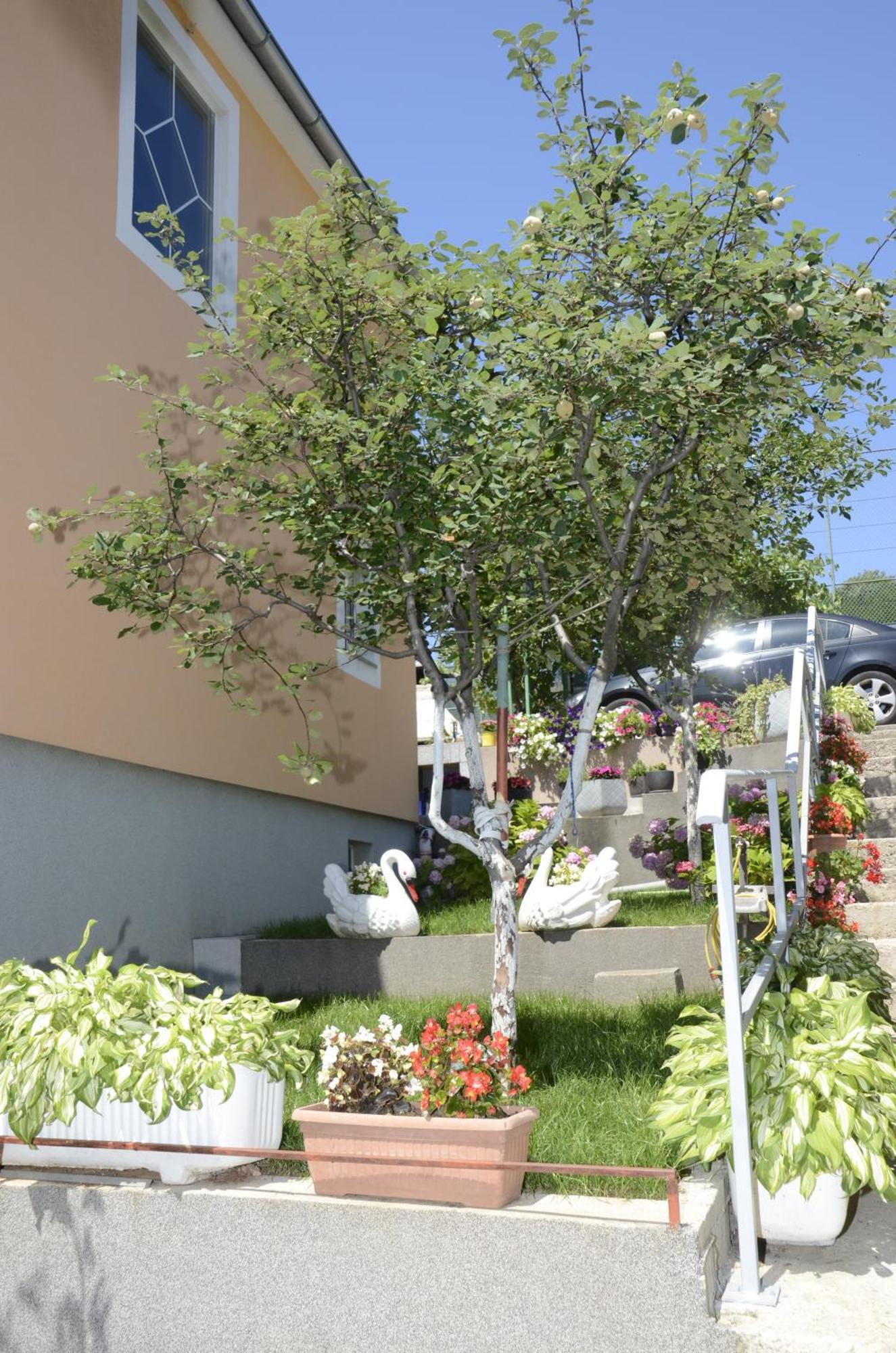 Apartments Lilly - Studio Rijeka Exteriér fotografie